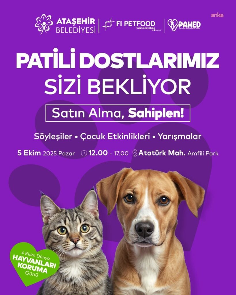 atasehirevcilhayvanrotasi.com