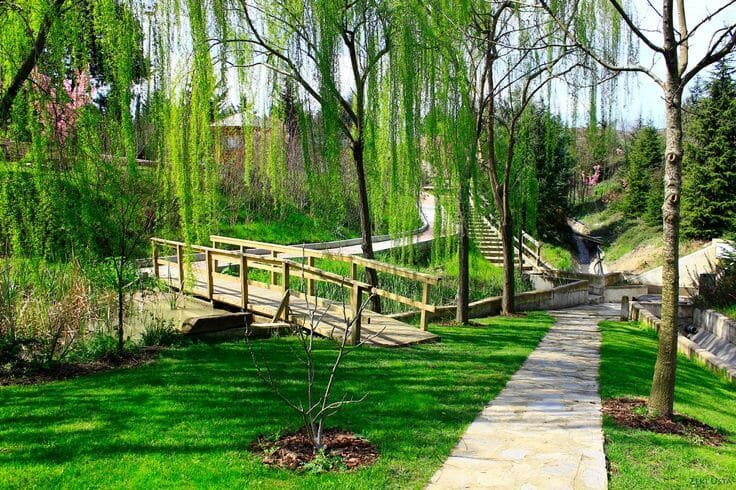 atasehirevcilhayvanrotasi.com