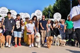 atasehirevcilhayvanrotasi.com